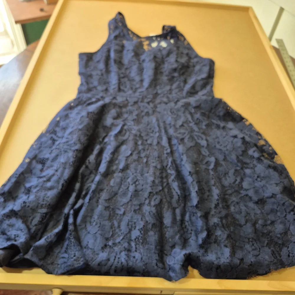 BB Dakota Elegant Navy Lace Dress - Picture 1 of 9